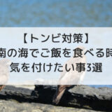 【トンビの食べ物対策】簡単にできる湘南の海でご飯を食べる時に注意する事